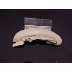 ALIEN 3 CANINE XENOMORPH FETUS CHESTBURSTER PRODUCTION CASTING