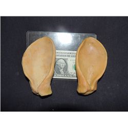 SCOOBY DOO ANIMATRONIC DOG PUPPET EARS SET UNUSED PRODUCTION PARTS