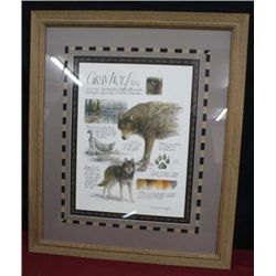 framed "Gray Wolf" by Daniel VanZyle