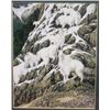 Image 1 : framed Bev Doolittle print