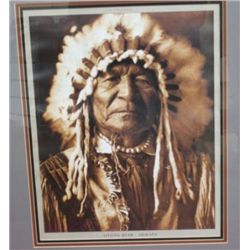 Sitting Bear Curtis photo print