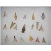 Image 2 : Lot of 18 Bird Point Arrow Heads