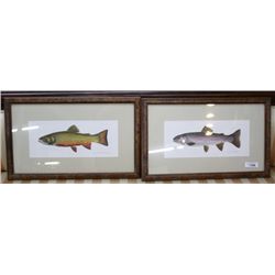 artist signed trout prints