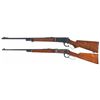 Image 2 : Collector's Lot of Two Winchester Lever Action Rifles