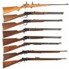 Image 1 : Eight Rifles