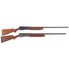 Image 1 : Two Remington Semi-Automatic Shotguns