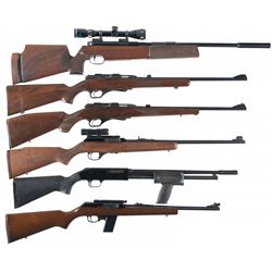 Five Long Guns and One Air Rifle