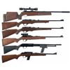 Image 1 : Five Long Guns and One Air Rifle