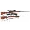 Image 1 : Two Scoped Winchester Bolt Action Rifles