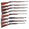 Image 1 : Eight Rifles