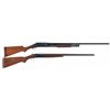 Image 1 : Two Winchester Shotguns