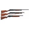 Image 1 : Three Shotguns