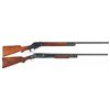 Image 1 : Two Winchester Shotguns