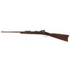 Image 2 : U.S. Springfield Model 1884 Trapdoor Carbine