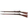 Image 2 : Collector's Lot of Two Springfield Armory Trapdoor Rifles