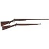 Image 1 : Two Long Guns
