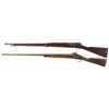 Image 2 : Two Long Guns