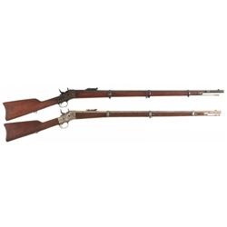 Two Remington Rolling Block Rifles