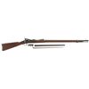 Image 1 : Springfield Armory Model 1879 Trapdoor Rifle with Bayonet and Scabbard