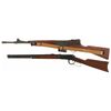 Image 2 : Two Long Guns