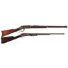 Image 1 : Two Long Guns