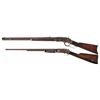 Image 2 : Two Long Guns