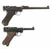 Image 2 : Two Luger Semi-Automatic Pistols with Holsters