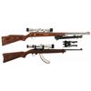 Image 1 : Two Long Guns