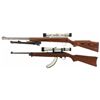 Image 2 : Two Long Guns