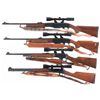 Image 2 : Four Rifles