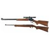 Image 4 : Two Long Guns and Five Hand Guns