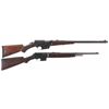 Image 1 : Two Semi-Automatic Rifles