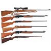 Image 1 : Six Long Guns