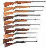 Image 1 : Ten Long Guns