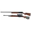 Image 2 : Two Semi-Automatic Shotguns