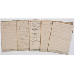 NOTES FROM THE INTERROGATION OF ADOLF HITLER'S PHYSICIANS