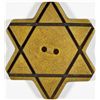 Image 1 : BULGARIAN STAR OF DAVID BUTTON