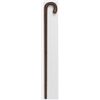Image 1 : PRESENTATION CANE GIVEN TO BENITO MUSSOLINI