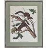 Image 1 : (JOHN JAMES AUDUBON)
