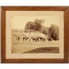 Image 1 : Large B&W original photo of unidentified group