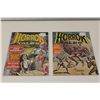 Image 2 : HORROR TALES 1971 RUN *RARE IN HIGH GRADE* 4