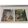 Image 4 : TERROR TALES 1971 RUN *RARE IN HIGH GRADE* 6