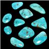 Image 4 : Non-Native Timberline Turquoise Stone Lot - 10 Stones - 300 Carat