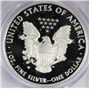 Image 3 : 2011W silver Eagle