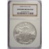 Image 1 : 2008 silver Eagle