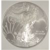 Image 2 : 2008 silver Eagle