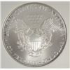 Image 3 : 2008 silver Eagle