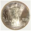 Image 2 : 1993  US silver Eagle