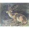 Image 1 : Kramer jelzéssel, Deer