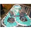 Image 1 : Pair of snow shoes